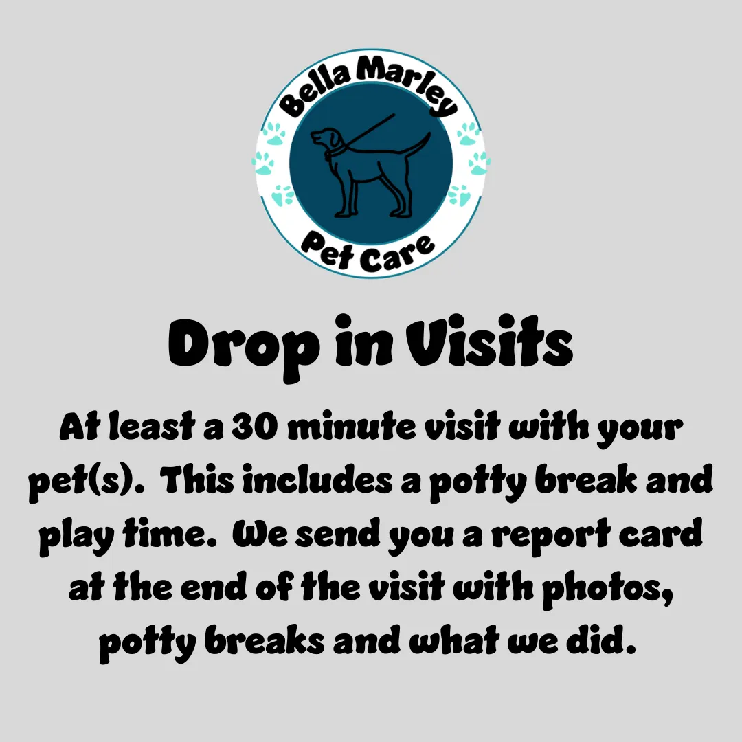 Bella Marley Pet Care