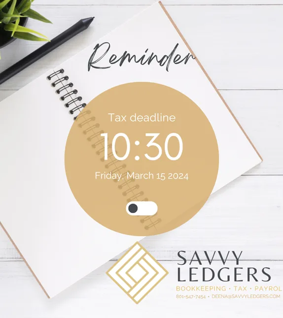 Savvy Ledgers